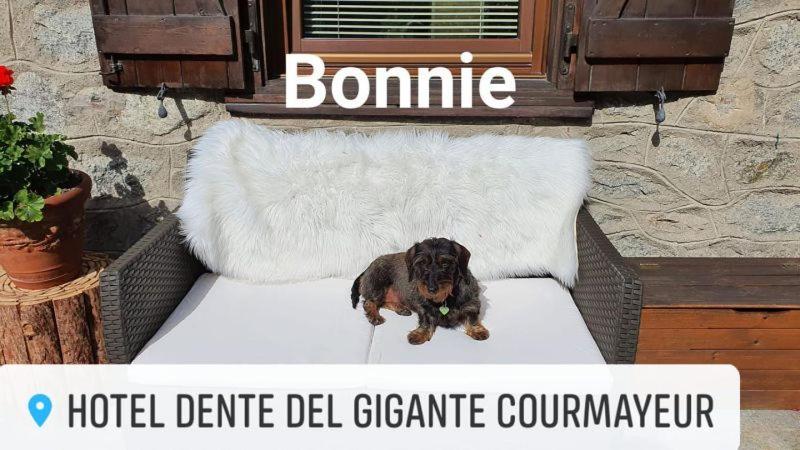 Hotel Dente Del Gigante Courmayeur Exterior photo